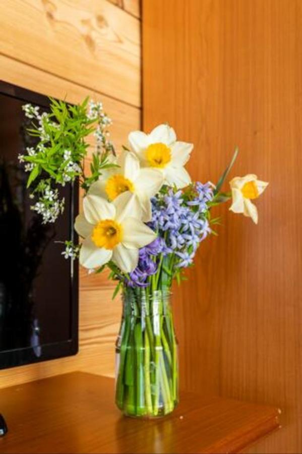 וארצו B&B Chalet Il Picchio מראה חיצוני תמונה